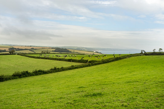 View towards Slapton Sands and Start Bay