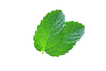 image of mint leafs isolate,fresh mint close up.