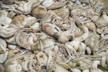 FRESH SQUID ON A TRAY. CLOSE-UP SQUID OR SPLENDID SQUID : (LOLIGO SPP.) LINED UP BEAUTIFULLY ON A STALL IN A TRADITIONAL VIETNAM AND THAILAND FISHERY MARKET. SELECTIVE FOCUS