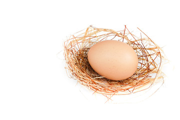 A nest with one egg isolated on white background