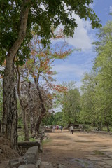Fototapeta premium the path to beng mealea