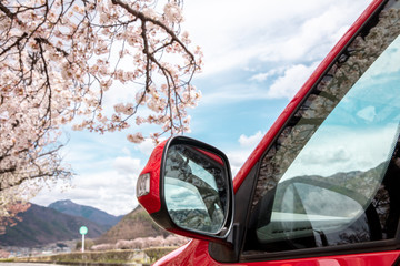 桜と赤い車　日本　ドライブ　外出禁止　cherry blossom