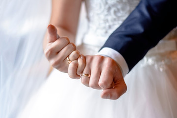 Bride and groom hands. Husband and wife hands with rings