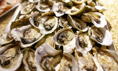 Oysters in shells as a background.