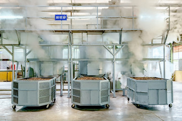 Cashew nut processing factory in Long An, Vietnam