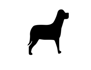 Black dog on a white background. Silhouette