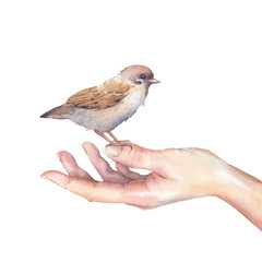 Hand with sparrow bird. Care for nature and wildlife illustration. Watercolor art