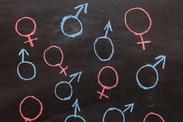 female and male gender symbol on a chalk Board. Background