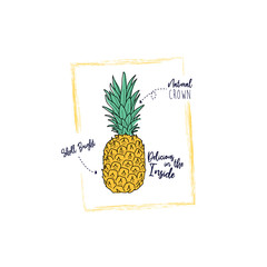 pineapple shell shine natural crown text line tee illustartion art vector
