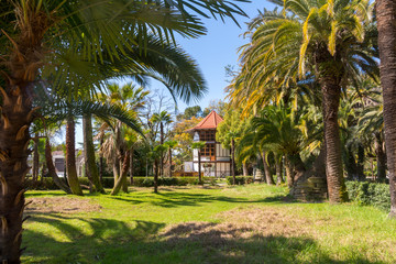 A Park with palm trees and a Villa in the subtropics.