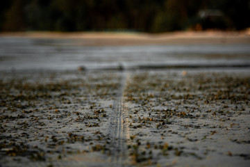 Tire track in the sand on the beach at sunset