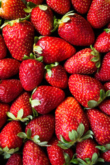 strawberries pattern on the table