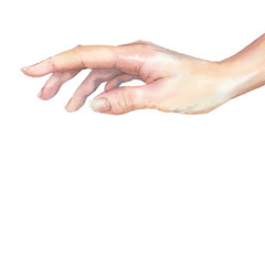 Watercolor hand illustration. Isolated art on white background.