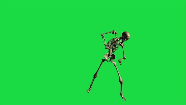 3d animation of skeleton bayonet drill - separate on green screen.