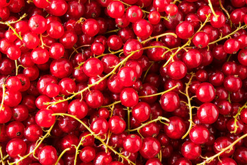 Background of red currants. Fresh berries closeup. Top view. Background of fresh berries. Various fresh summer fruit. Red food. Immunity system improvement. Antiviral treatment. Coronavirus prevention