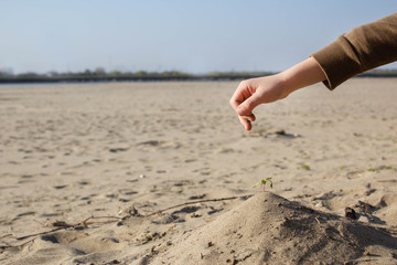 Close-up of a child's hand taking care of a green branch with leaves in the soil. Children's hands take care of the plant. Sand falls through my fingers