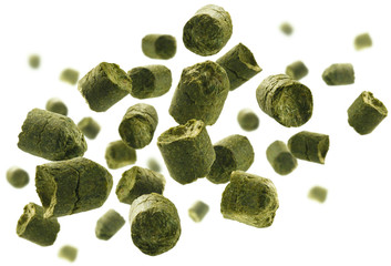 Green granulated hops levitate on a white background