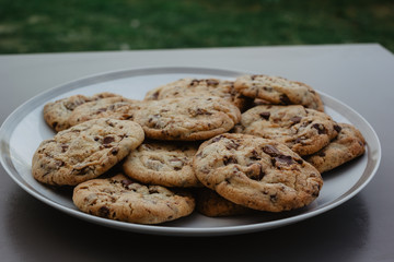 chocolate chip cookies on plate