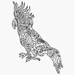 parrot drawn with abstract floral ornament folk style for coloring, vector