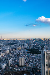 Fototapeta premium 東京 都市風景 池袋からの眺望