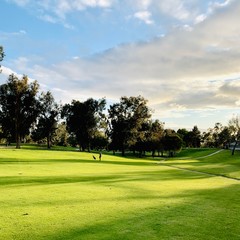 Isolated golfer playing on golf course in the morning