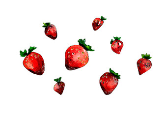 watercolor illustration of isolated fruitred strawberries for background, for pattern