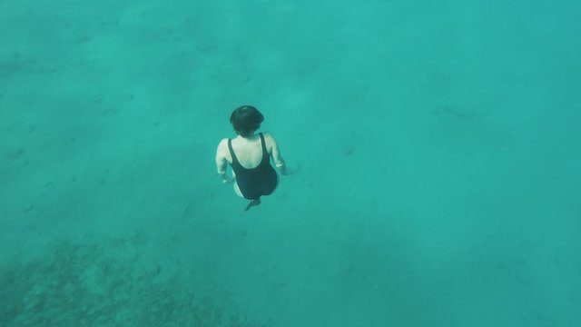 Freediver on corals in Red sea, Beautiful young woman swimming underwater in blue sea water, amazing snorkeling adventure, 4k