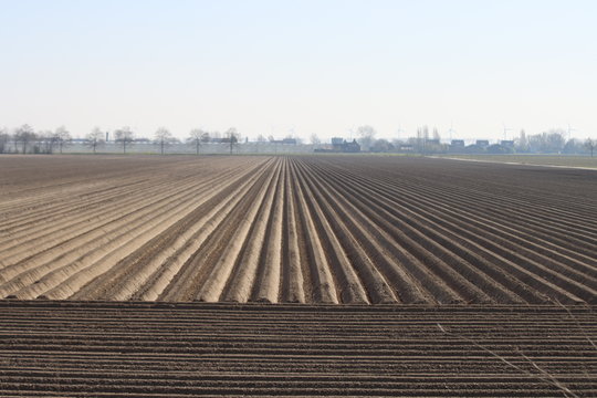 fields that have just been plowed in the Zuidplaspolder for sowing vegetables