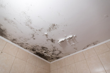 Black mold and mildew spots on the ceiling or wall due to poor air ventilation and high humidity....