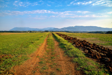 Naklejka premium Campagna romana