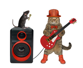 The beige cat musician in stylish clothes is playing a red acoustic guitar. The black rat is...