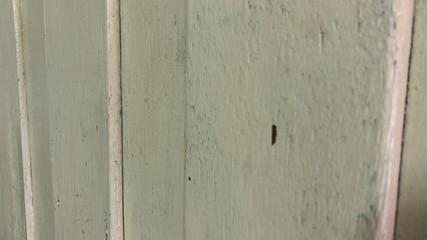 old wooden door