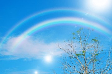 Rainbow shiny on blue sky very beautiful in landscape