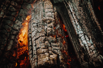 burning wood
