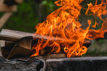 burning wood in a barbecue fire