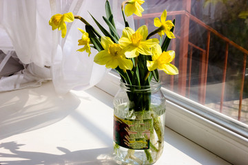 Yellow daffodil flowers in vase on the table