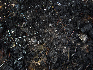 Coal in a burned-out fire background. Coal and nails in a burned-out fire. 