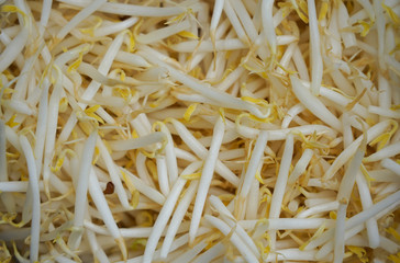 Bean sprouts raw food fresh and bright color good ingredient background