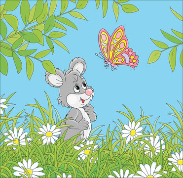 Little grey mouse friendly smiling and playing with a bright colorful butterfly flittering over white daisies hiding among green grass of a pretty summer field on a sunny day, vector cartoon illustrat