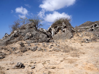 Fototapeta na wymiar Dry bushy on the slopes in the mountains of southern Oman