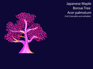Acer palmatum Japanese Maple Bonsai Tree Flat vector illustration 