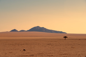 Fototapeta na wymiar endless desert landscape