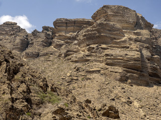 On the sea coast of southern Oman are large flocks of various species of water birds