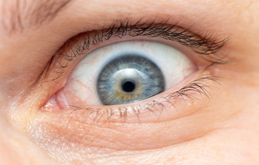 Middle age woman narrowed blue-gray eye macro. Caucasian ethnicity.