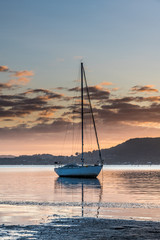 Boats and a Bay Sunrise Waterscape