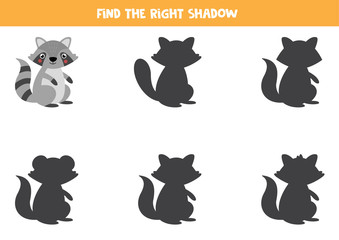 Find the right shadow of raccoon. Educational game for kids.