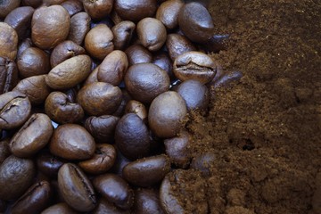 Coffee beans and coffee powder