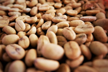 Unroasted coffee beans close up