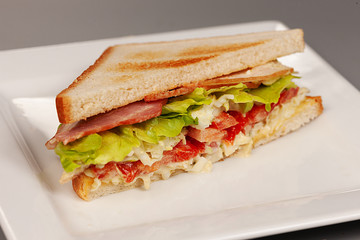 sandwich with ham