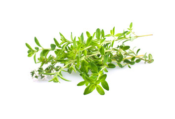 Fresh thyme herb isolated on white 